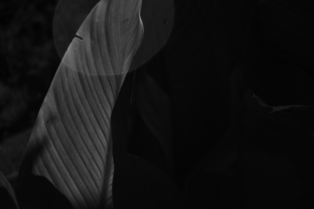 カーディガン レディース 秋 春夏 秋冬 長袖 ニット カーディガン トップス 無地 UVカット 日焼け止め 薄手 ショート丈 羽織り 冷房対策 カットソー 紫外線対策 日焼け防止 ギフト プレゼント シースルー サマーアウター Yj6x