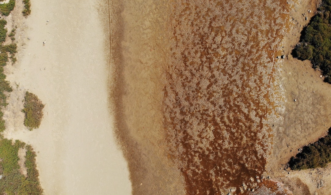 新生活 スカート チュールスカート レディース 春 マキシ丈 プリーツスカート ロングスカート 体型カバー ウエストゴム かわいい 秋物 20代 プレゼント ギフト