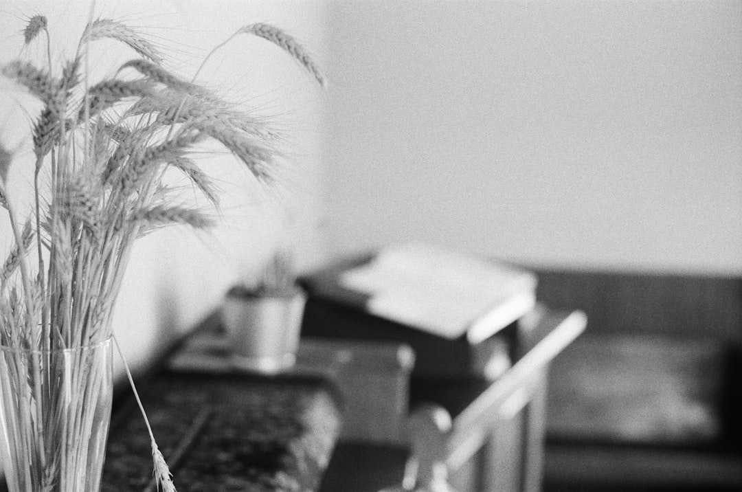 Self-Portrait セルフポートレート Black Melange Knit Cardigan カーディガン