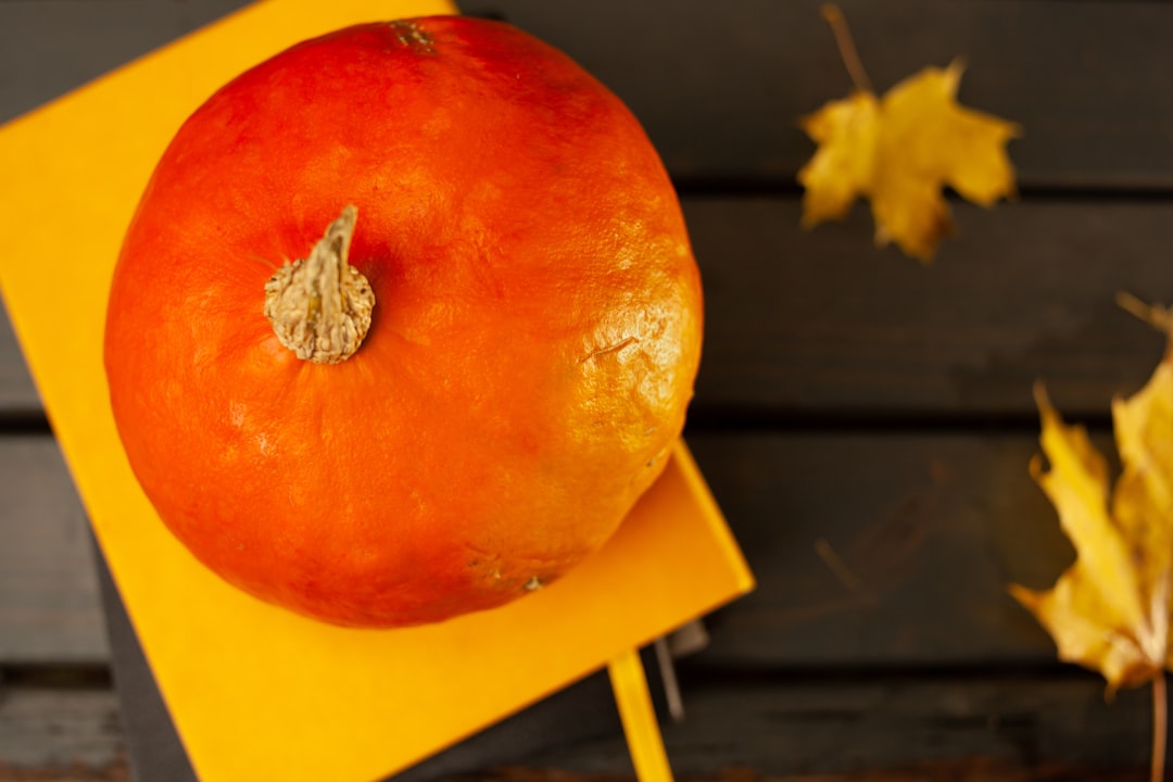 多彩なアレンジが魅力的 変形カーディガン トップス カーディガン 大きいサイズ おうちコーデ【メール便】