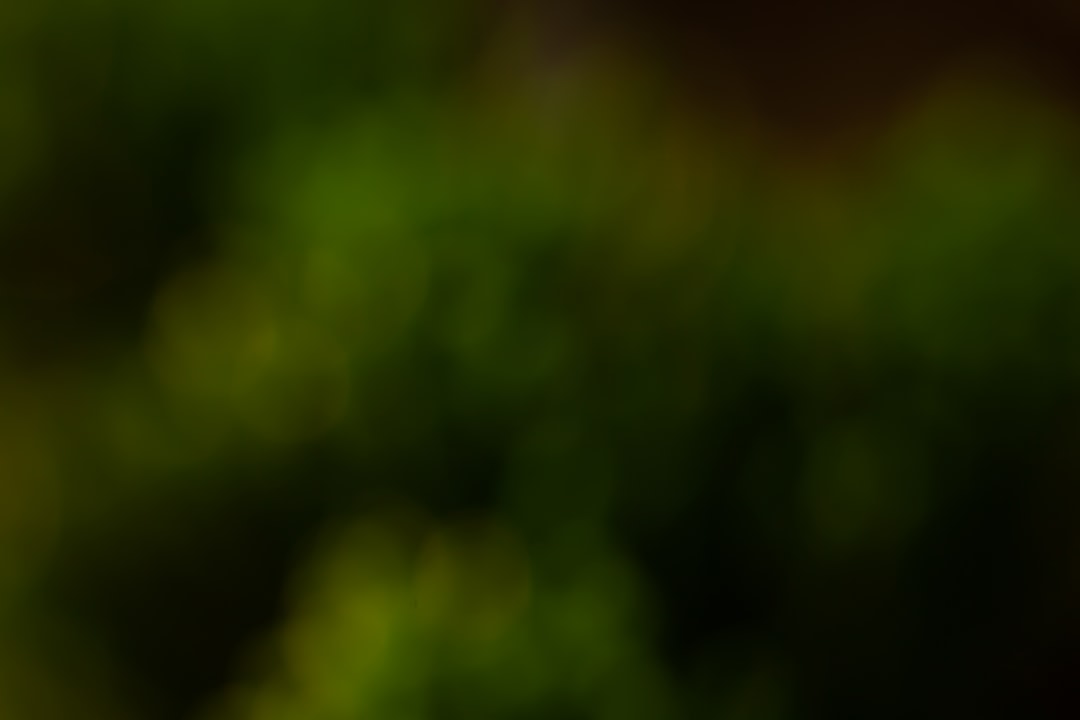 ちびまる子ちゃん