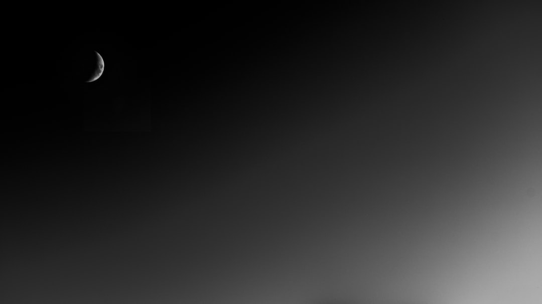 レディース トップス シャツ ブラウス 長袖 襟付き 角襟 ライン スリム 細身 フェミニン かわいい 大人可愛い きれいめ シンプル カジュアル 上品 おしゃれ こなれ感 クール フォーマル 抜け感 ベーシック 無地 春 秋 入学式 入園式 卒業式 卒園式 ロングシーズン 発表会