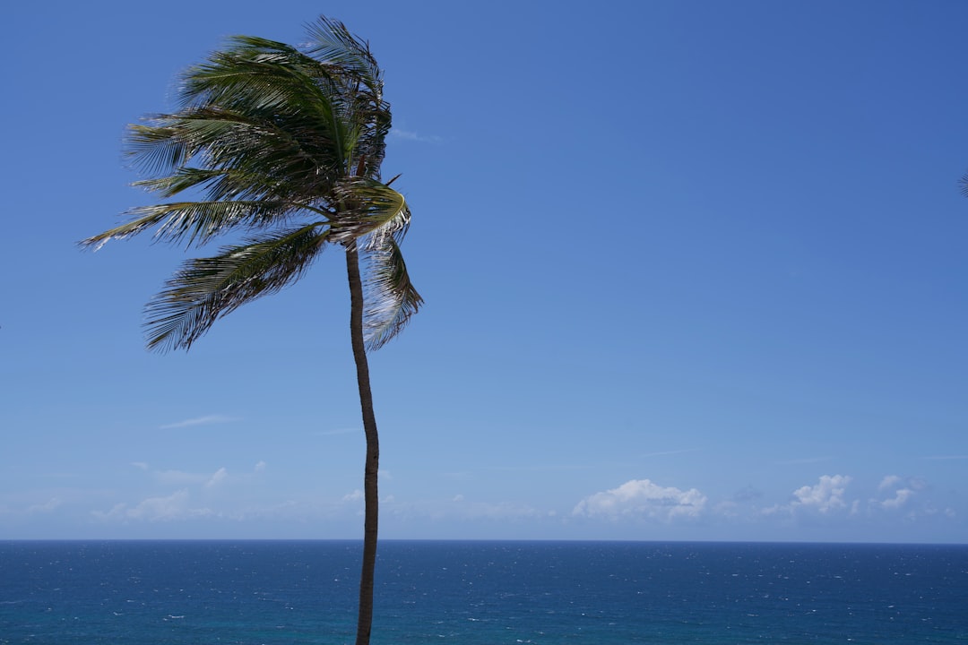 南太平洋 地震 速報