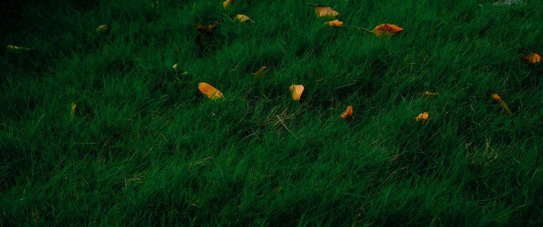 新生活 スカート チュールスカート レディース 春 マキシ丈 プリーツスカート ロングスカート 体型カバー ウエストゴム かわいい 秋物 20代 プレゼント ギフト