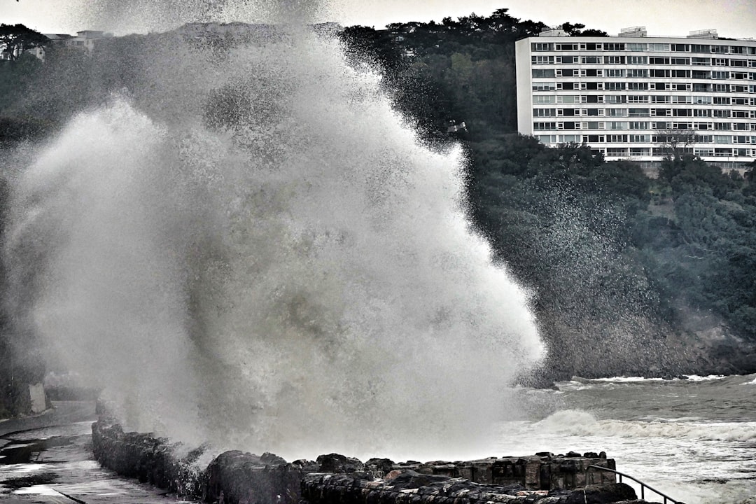 津波予報(若干の海面変動)