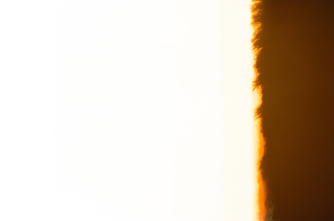 トップス ベスト ロング丈 袖なし ノースリーブ Vネック ストレート もこもこ ボア お得 かわいい 大人可愛い きれいめ シンプル カジュアル 大人 上品 おしゃれ かっこいい ラブリー キュート 無地 秋 冬 10代 20代 30代 40代 レディース ママ 個性的 送料無料 S M L XL