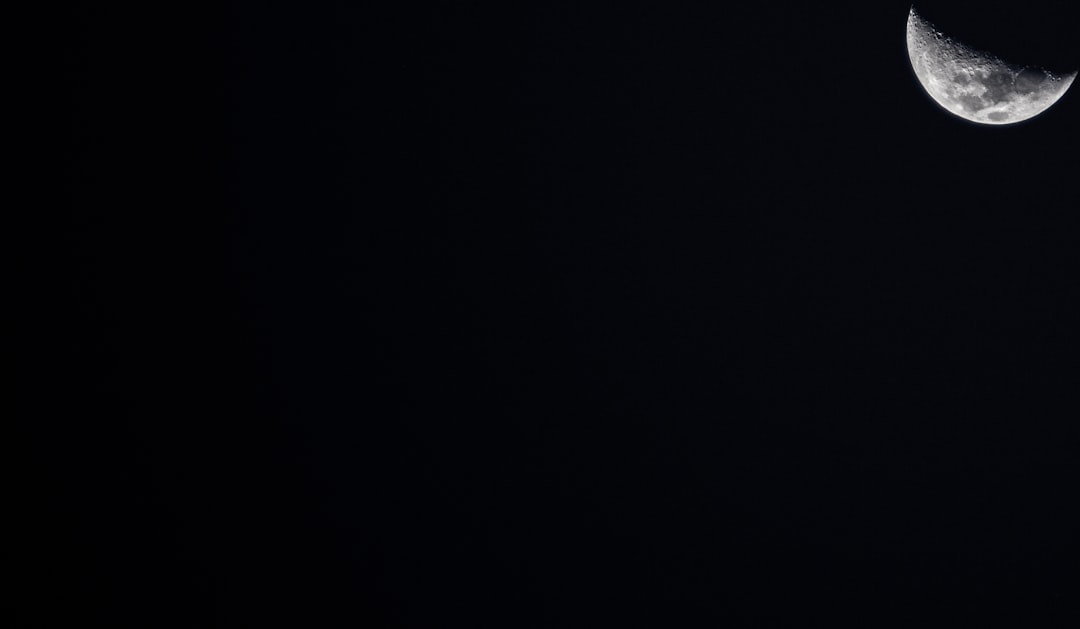 フェイク ファー トップス キャミソール トップス ビスチェ フェミニン アジャスター レディース シャギートップス キャミトップス