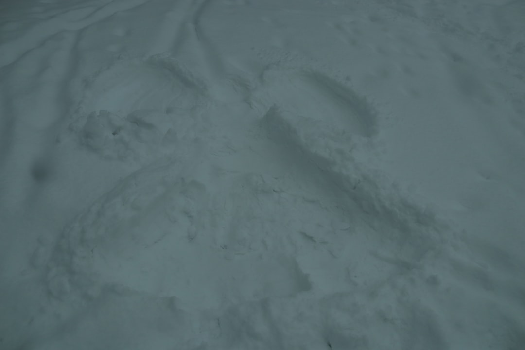 キルティングベスト ベスト レディース 秋冬 ダウンベスト ロング丈 vネック 中綿ベスト 軽い トップス 前開き ノースリーブ 羽織 ライトアウター シンプル レイヤード 重ね着 防寒 ゆったり 大きいサイズ カジュアル 大人可愛い 送料無料