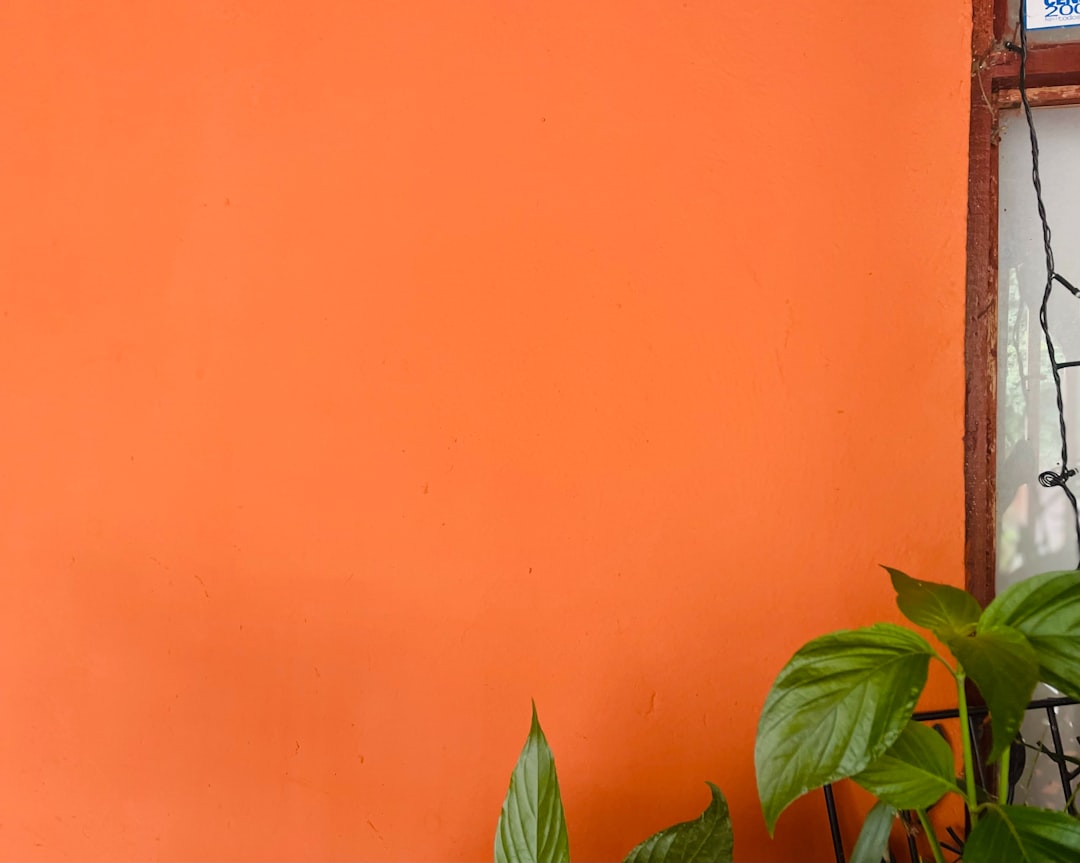 多彩なアレンジが魅力的 変形カーディガン トップス カーディガン 大きいサイズ おうちコーデ【メール便】