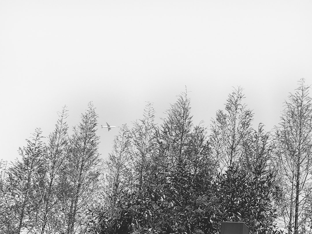 べスト 中綿 中綿べスト レディース インナーベスト クルーネックベスト 防寒 中綿 重ね着 春 秋 冬 真冬 冬用 チョッキ ベスト 無地 コート ジャケット インナー オーバーベスト ダウンべスト 黒 薄手 パディング 保温性 大きいサイズ 30代 40代 50代