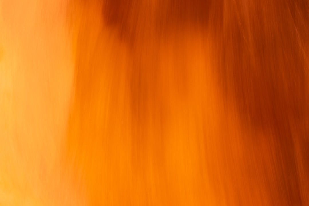 新生活 シアー トップス カットソー レース インナー シースルー チュール tシャツ レイヤード 重ね着 長袖 透け 薄手 ブラウス 体型カバー 日焼け対策 プレゼント ギフト