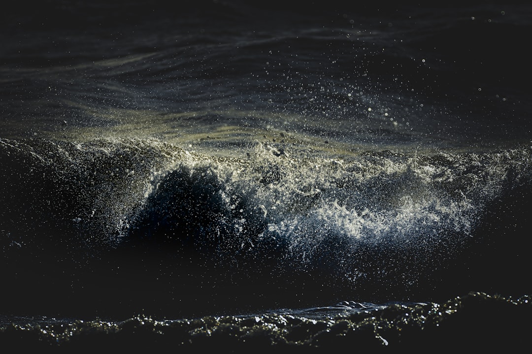 津波予報(若干の海面変動)