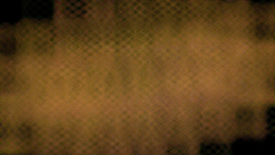 ブラウス トップス レディース 長袖 春 透かし編み ホワイト フロントボタン 前開き 休日 お出かけ デート 普段使い 学生 通学 OL 通勤 着回し ファッション おしゃれ カジュアル きれいめ こなれ感 シンプル ナチュラル フェミニン 上品 清楚 10代 20代 30代 ワンサイズ