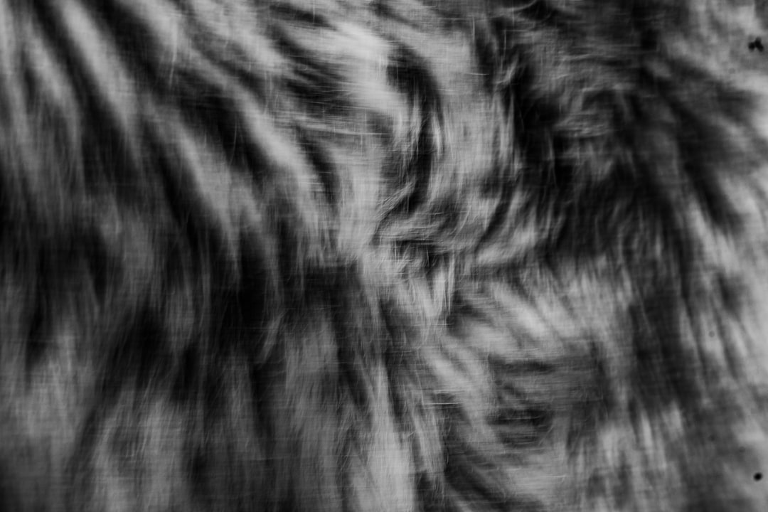 レディース ストライプ柄 ブラウス 長袖シャツ ロングシャツ オーバーサイズ トップス カジュアル シンプル クール きれいめ 上品 エレガント おしゃれ お出かけ オフィス ビジネス 学生 爽やか コットン デイリー 普段着 ネイビー フリーサイズ