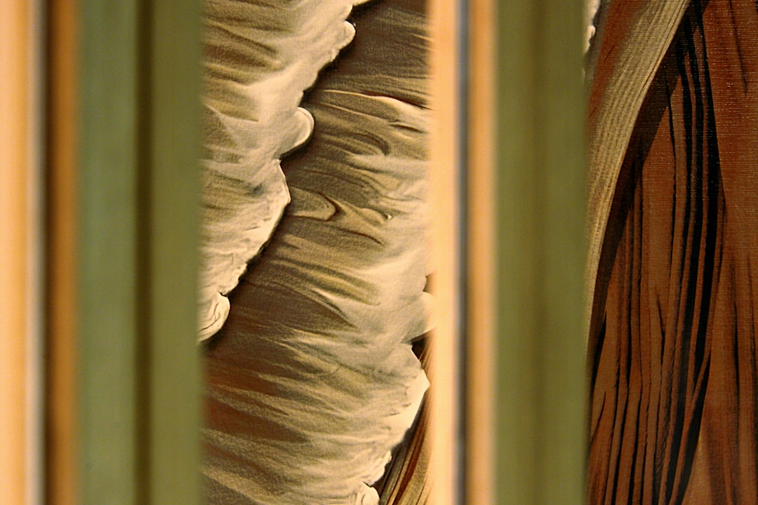 【送料無料】女子会 お出かけ デート 通勤 OL オフィス ラブリー 主役級 ガーリー きれいめ 大人可愛い かわいい りぼんタイ 付き