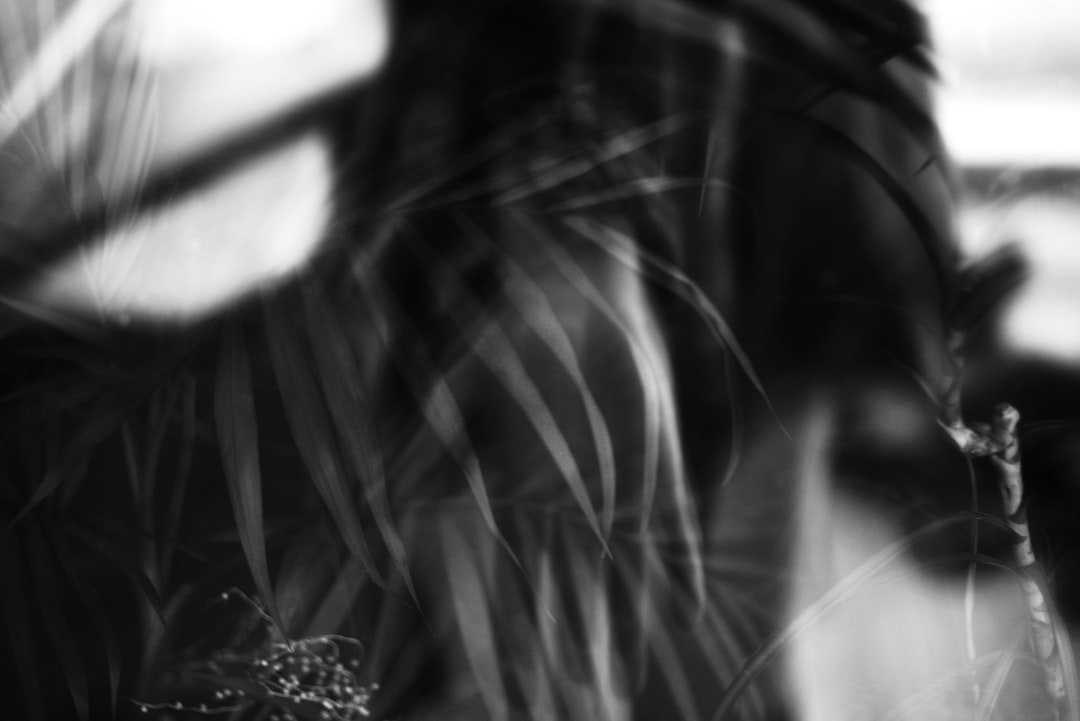 Self-Portrait セルフポートレート Black Melange Knit Cardigan カーディガン