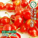 【訳あり】さくらんぼ 【2箱買うと送料無料】山形県産 品種おまかせ