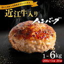 【ふるさと納税】 ＼総合1位獲得／ 近江牛 入り ハンバーグ 6kg 3kg 2kg 1kg 淡路島産 玉ねぎ 近江牛 使用 合挽き 近江牛 200g/30個15個10個5個 選べる容量 個包装 和牛 牛肉 合挽き 冷凍 黒毛和牛 豚肉 ポーク ランキング 神戸牛 松阪牛 に並ぶ日本三大和牛 滋賀県 竜王町