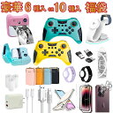 2026福袋 選べるガジェット6点 or Switch2コントローラー入り or ワイヤレス充電器入り 豪華10点福袋 30W急速充電器確定！ 充電ケーブル 変換アダプタ スマホケース フィルム ペットタグなど 店内大人気商品 ランダム封入 iPhone Android対応 お楽しみ福袋 2025 2026