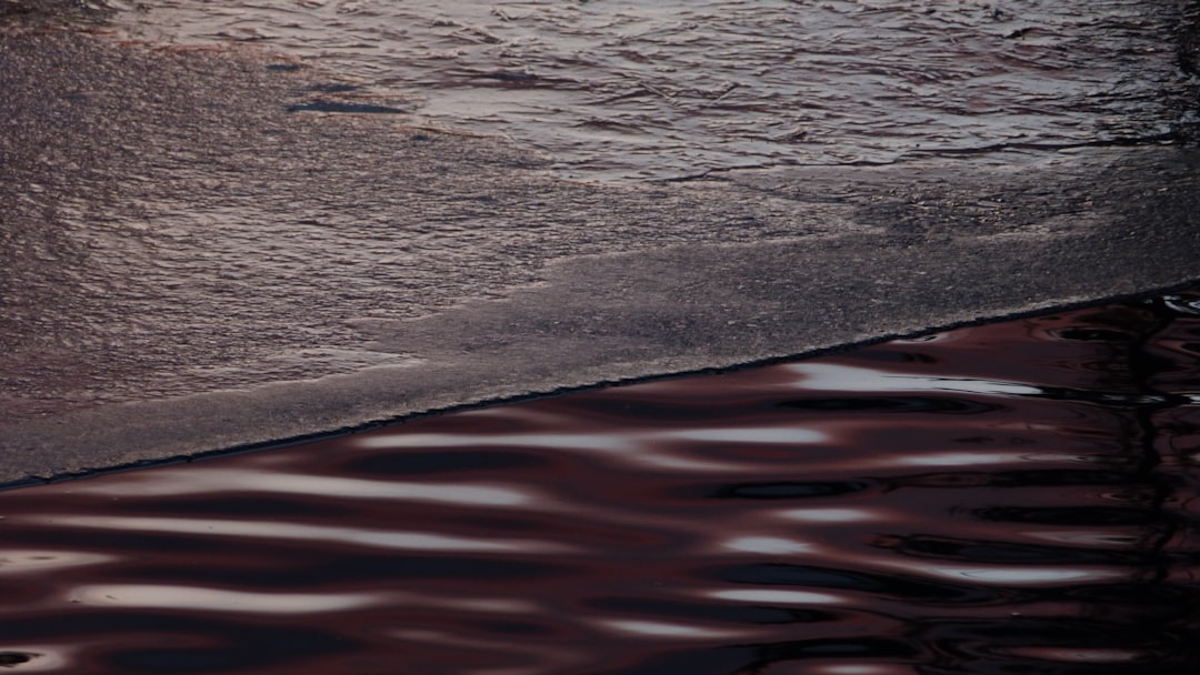 総レーストップス レディース Tシャツ 総レースTシャツ トップス ハイネック シャーリング 長袖 フリンジレース プルオーバー ゆったり 冬新作 バレンタイン