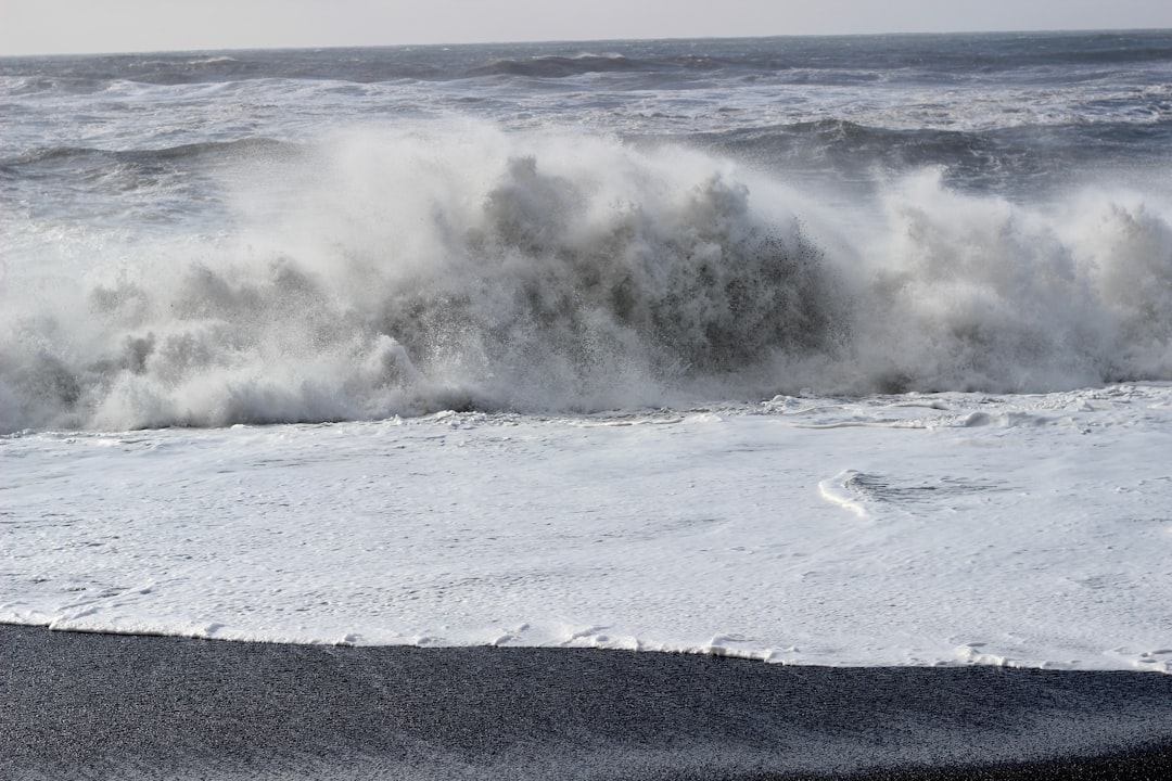 津波予報(若干の海面変動)