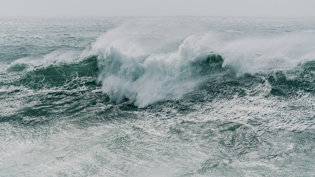津波予報(若干の海面変動)