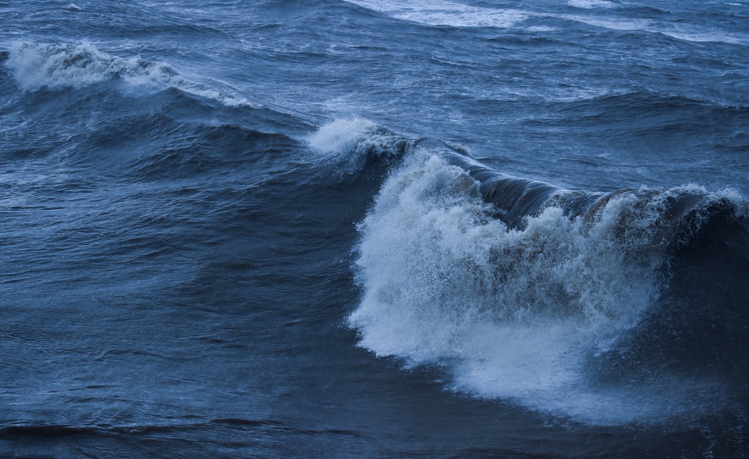 津波予報(若干の海面変動)