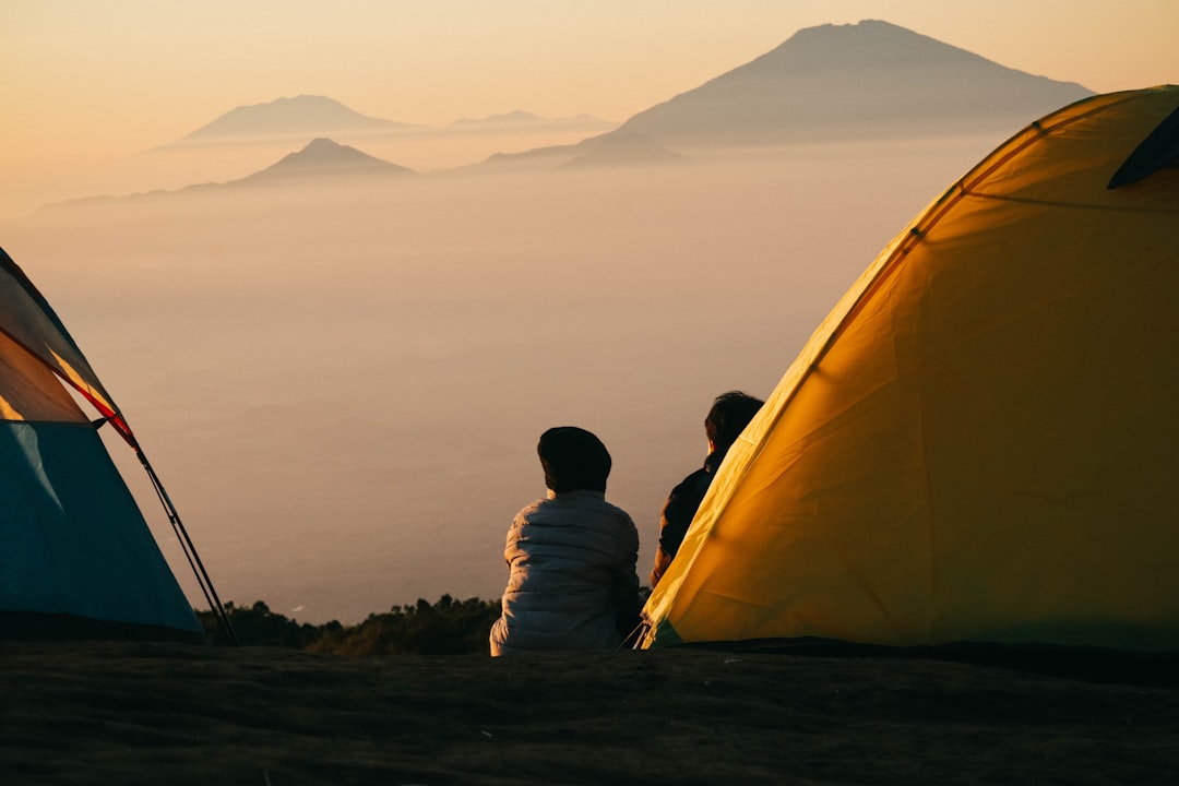 キャンプ 初心者 必要なもの おすすめセット