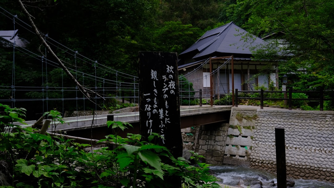 ナフサ 不足 備蓄