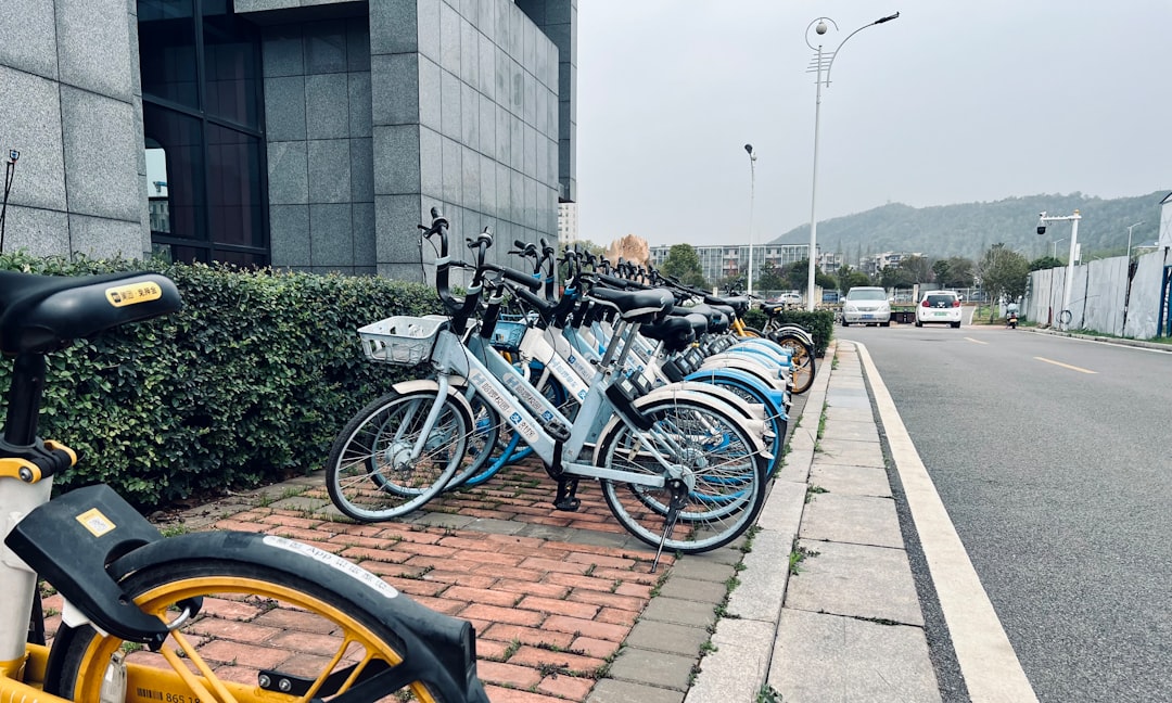 電動自転車 購入前 確認すること おすすめ