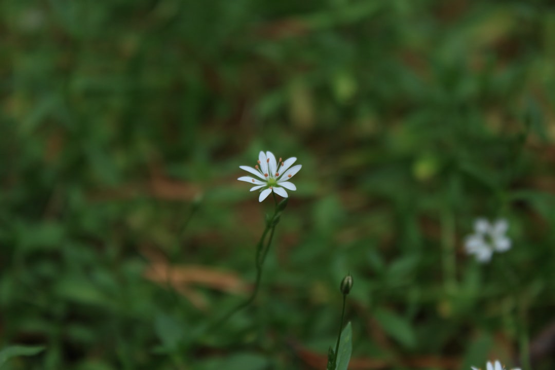 小 芝 風花 小関 裕 太 共演