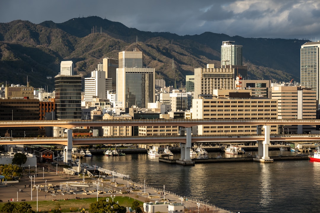 広島 対 阪神