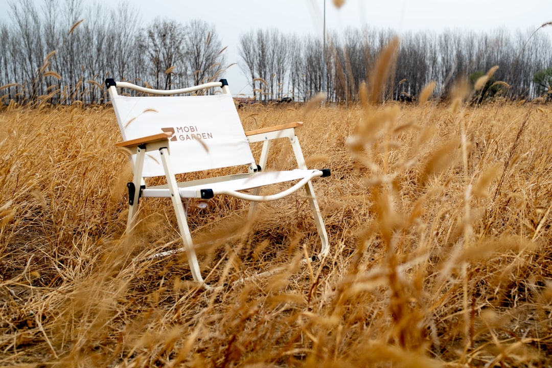 アウトドアチェア コンパクト おすすめ