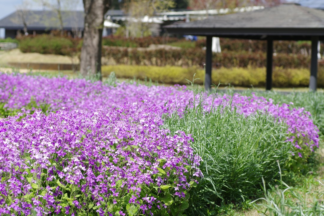 小 芝 風花 小関 裕 太 共演