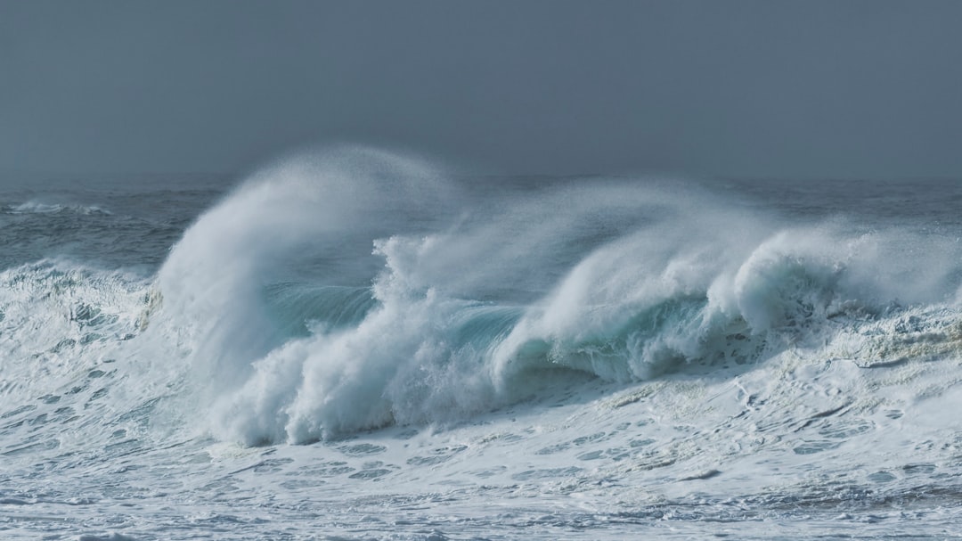 津波予報(若干の海面変動)
