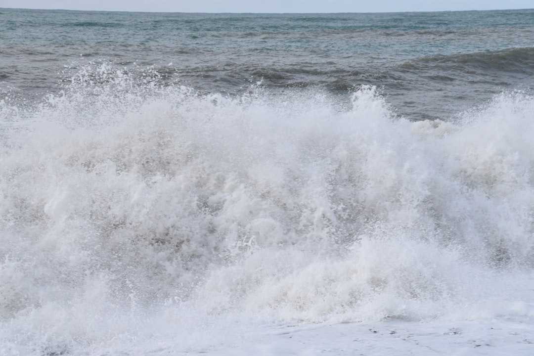 津波予報(若干の海面変動)