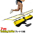半 額 & 200円OFF★20(水)0時～ トレーニングラダー 7m トレーニング 子供 プレート13枚 ラダー イエロー 瞬発力 俊敏性 反射神経 練習 部活 アジリティー アジリティーラダー ステップワーク サッカー バスケット 野球 ウォーミングアップ テニス バスケ 陸上