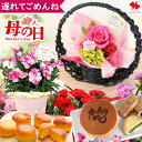 遅れてごめんね 母の日 花とスイーツ 和風 プリザーブドフラワー 間に合う 花 スイーツ セット 母の日ギフト 花とスイーツセット カーネーション バラ 鉢植え 鉢花 花鉢 プレゼント ギフト 花とお菓子 お菓子 オシャレ おしゃれ 母 義母