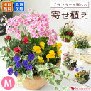 プランターが選べる 季節のおまかせ 寄せ植え M 旬のお花をたっぷり 鉢植え フラワーギフト 花 鉢花 花鉢 花苗 お祝い 誕生日 プレゼント 女性 玄関 お誕生日 お花 祝い ガーデニング 結婚記念日 退職祝い 開店祝い 合格祝い 送別 父の日 父の日ギフト