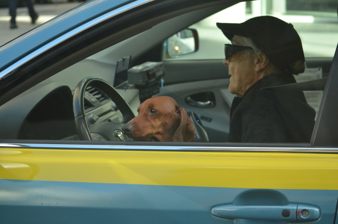 警察犬