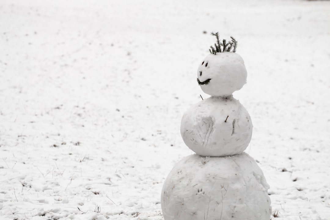 snow man save your heart