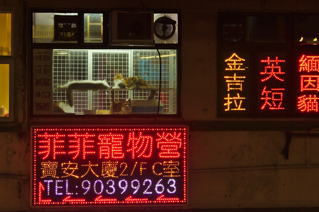 警報
