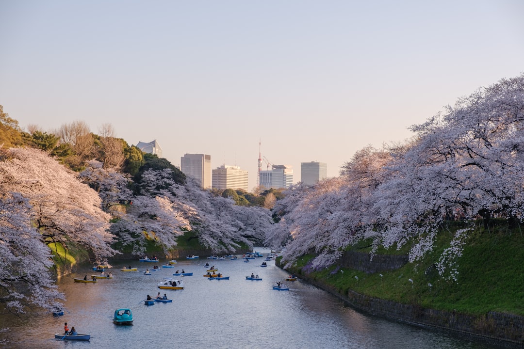 日本