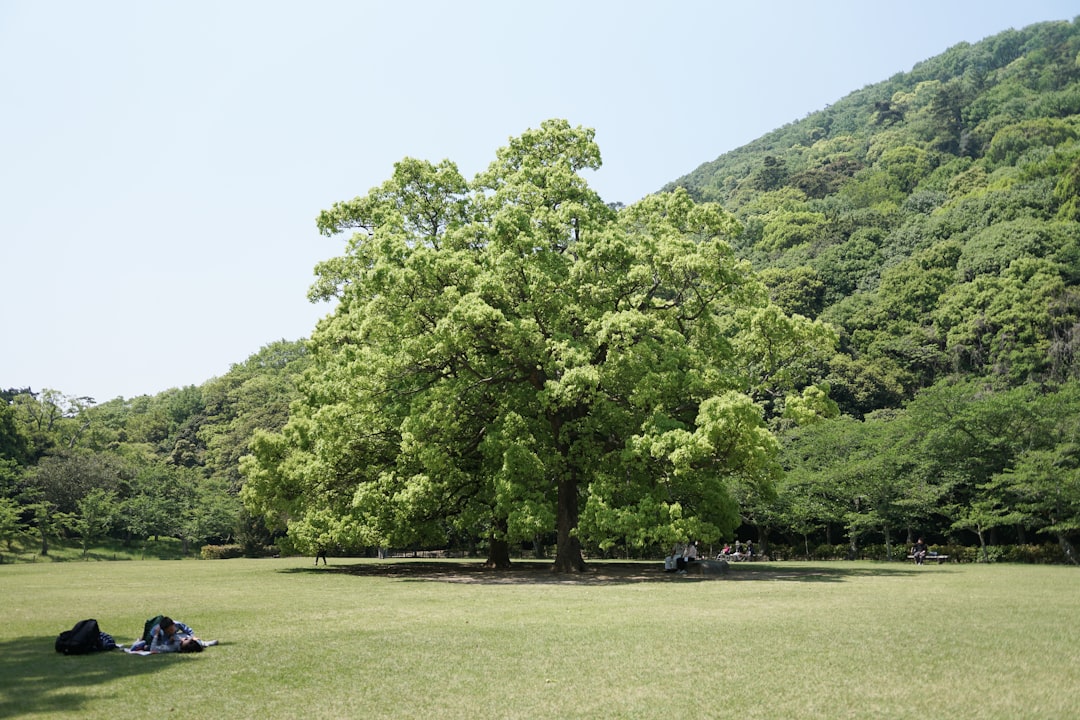 キャンプ 初心者 必要なもの おすすめセット