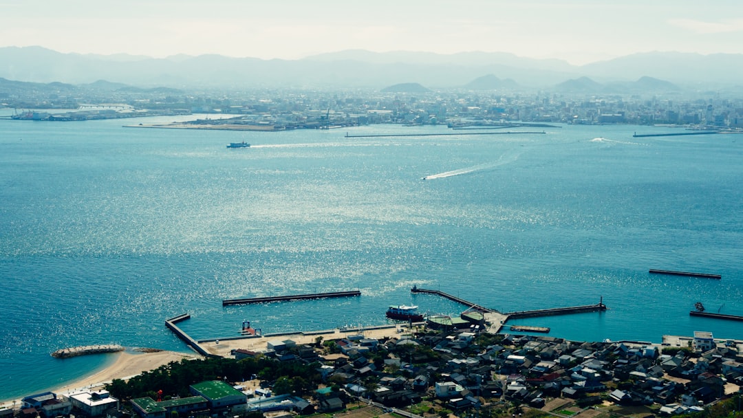 岡本多緒