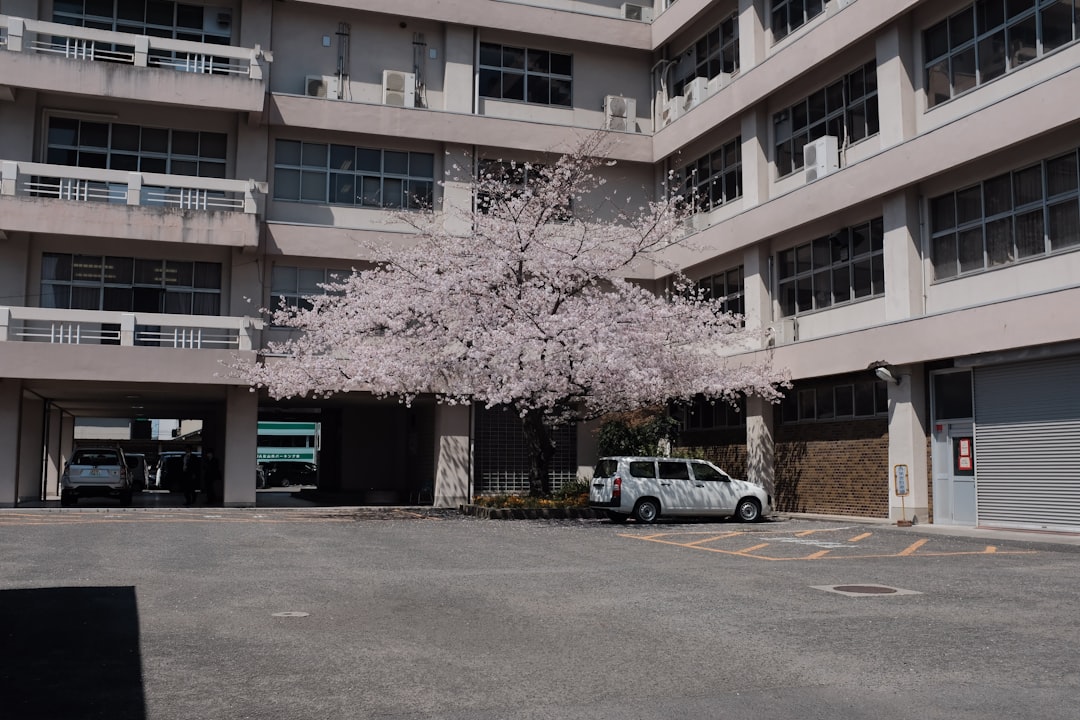 静岡 市立 清水 病院