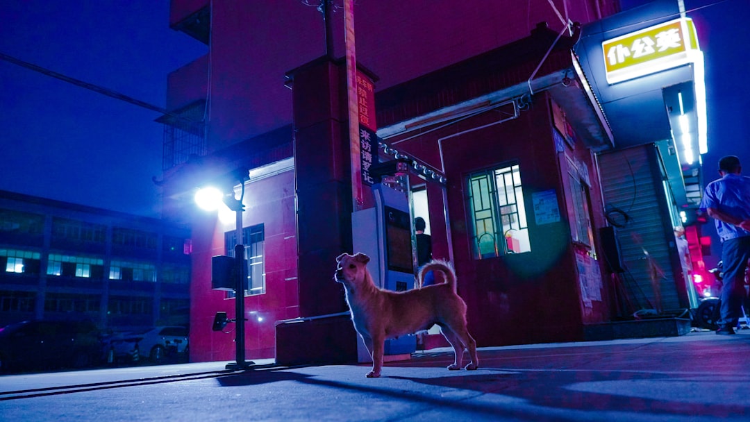 警察犬