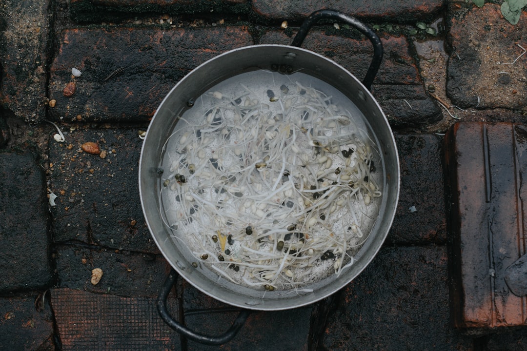 炊飯器 一人暮らし コスパ