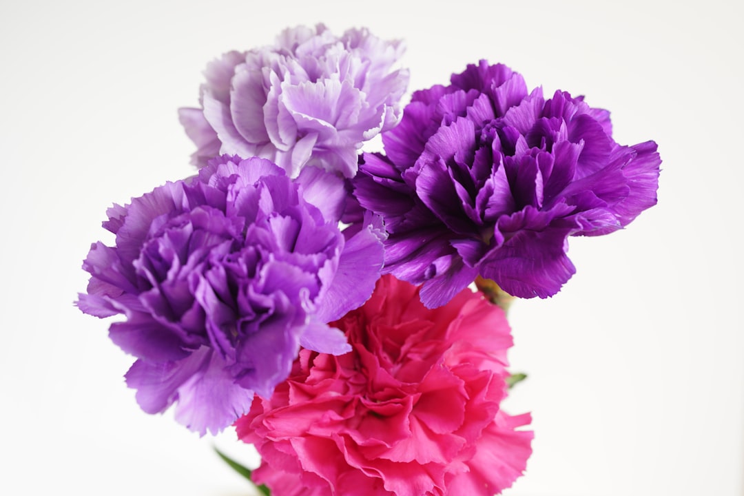mother's day