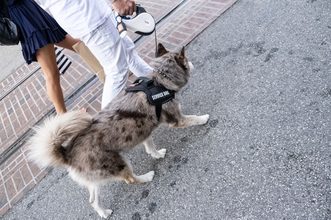 警察犬